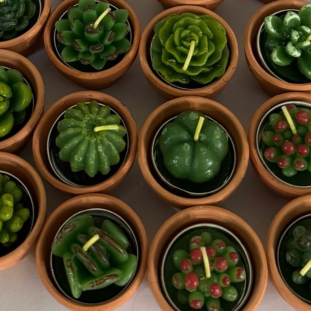New 7 Succulent Cactus Tea Candles & Clay Pots